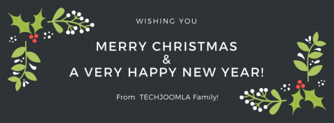 Celebrate this Christmas and New Year with a discount!