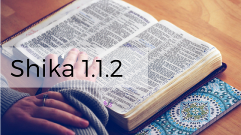 Shika 1.1.2 is here!
