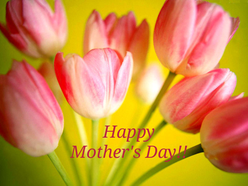 flower wallpapers 02 800 600